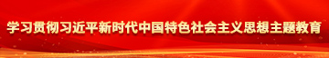 操喷美女学习贯彻习近平新时代中国特色社会主义思想主题教育